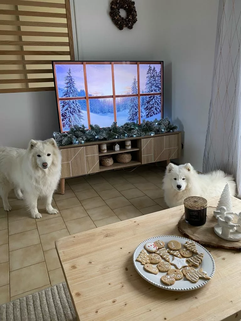 Beliani Mueble TV Madera Clara 150 X 39 Cm FRANKLIN 4 Beliani Mueble TV Madera Clara 150 X 39 Cm FRANKLIN - Imagen 4